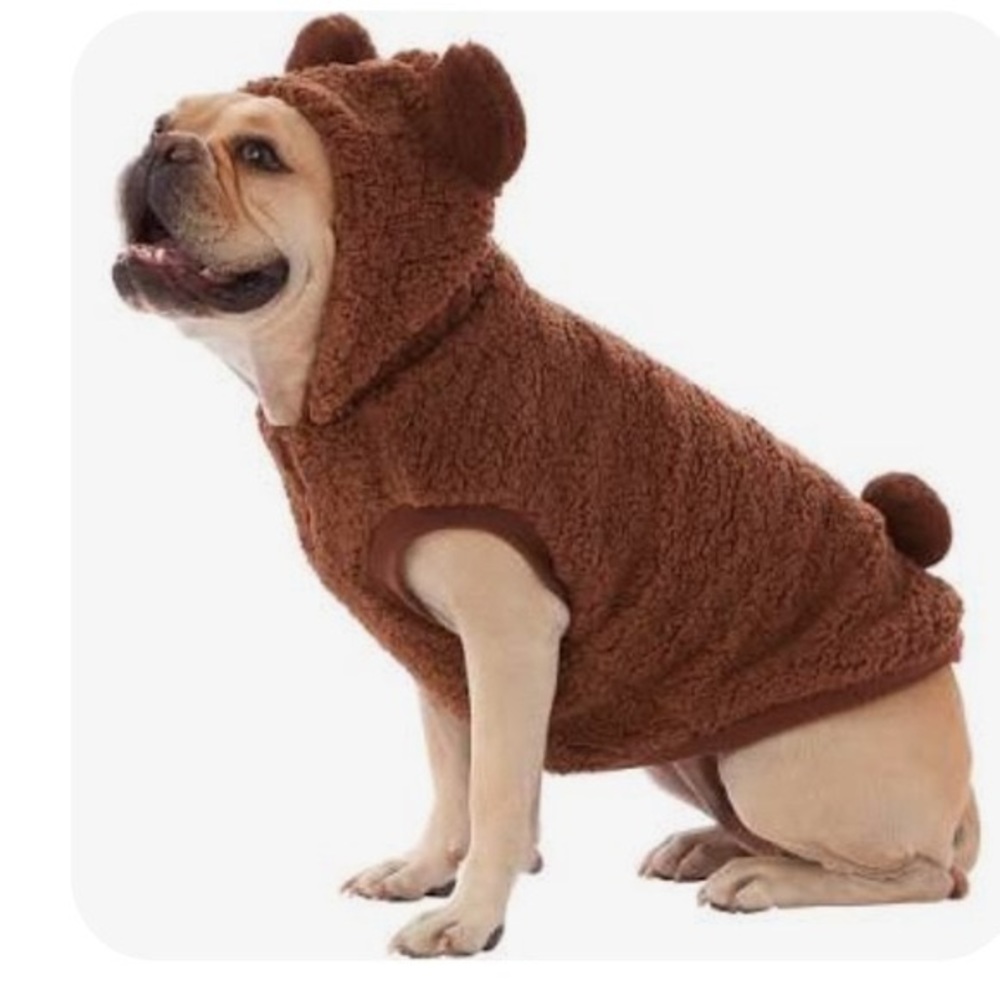Top paw Bear Hoodie